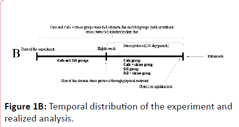 obesity-Temporal-distribution